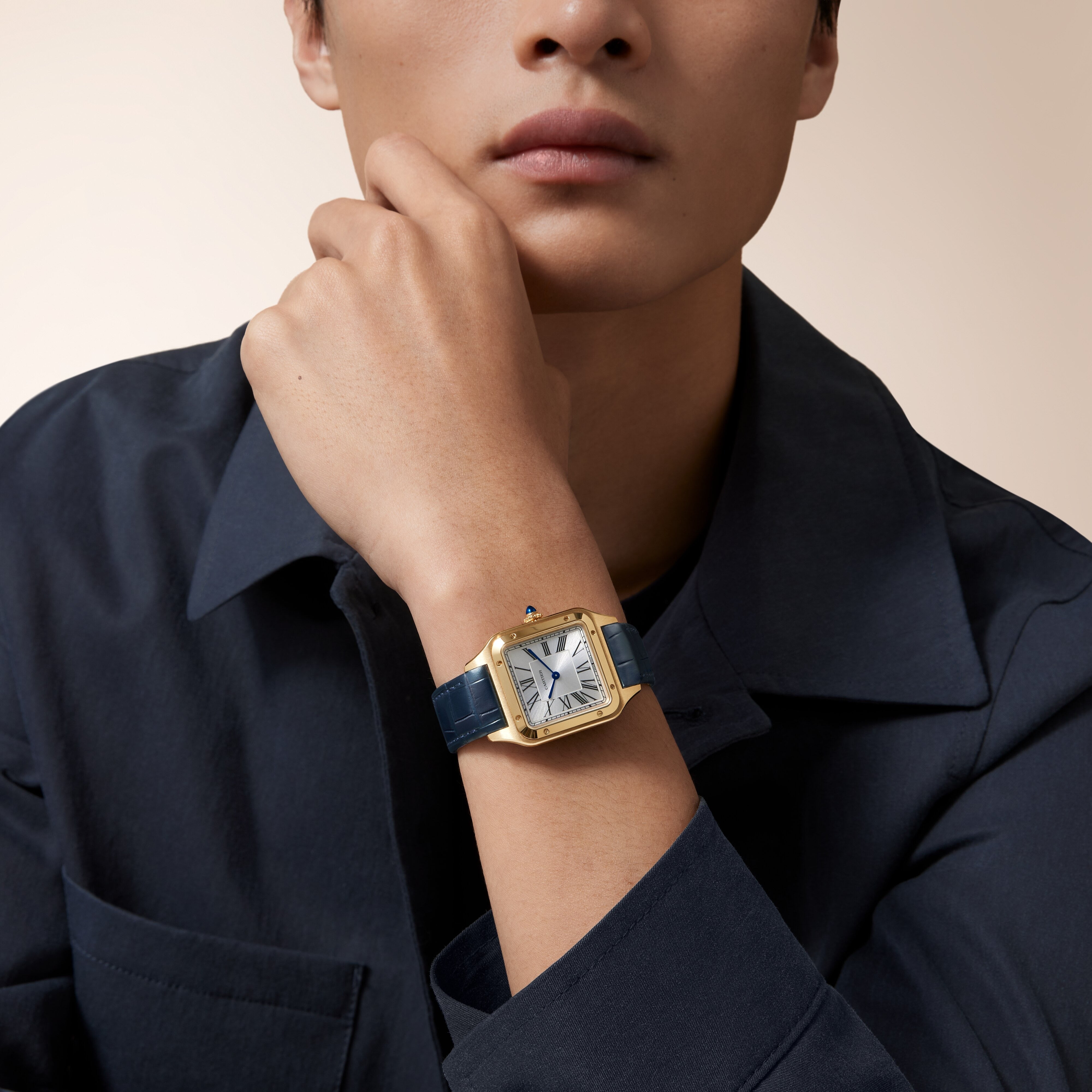 Cartier Santos-dumont Large Model WGSA0139 view 7