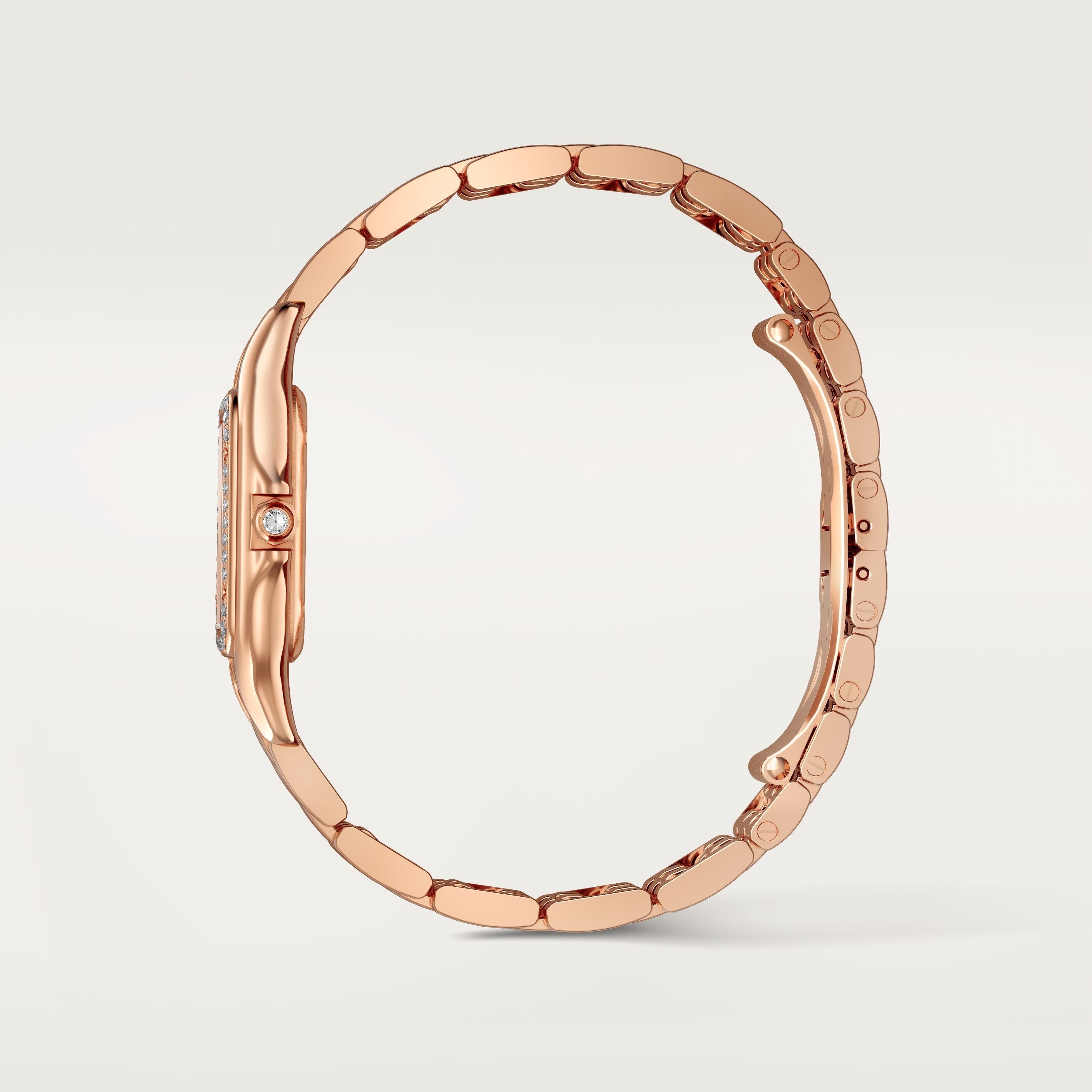 Cartier Panthère de Cartier Medium Model WJPN0092 view 3