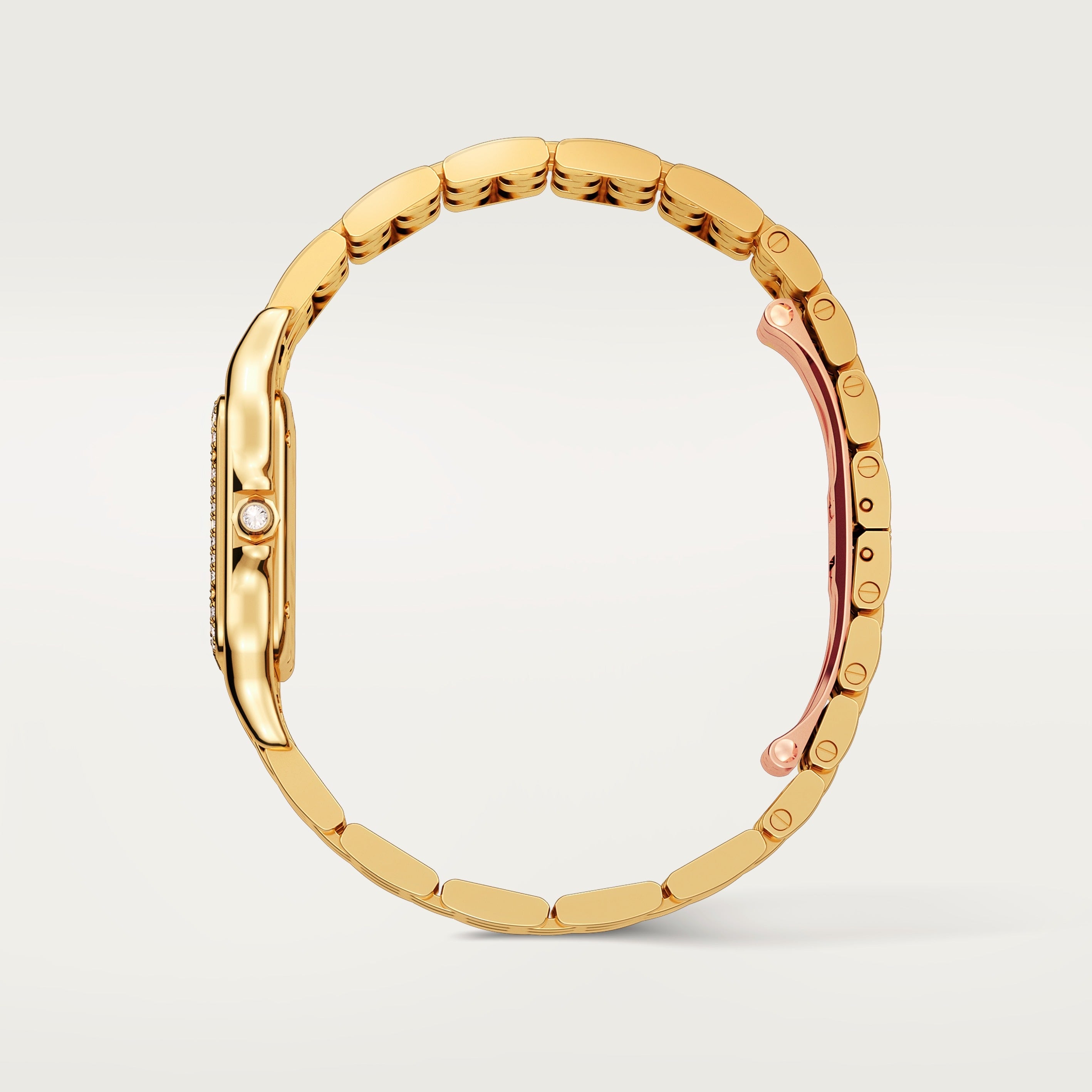 Cartier Panthère de Cartier Medium Model WJPN0093 view 3