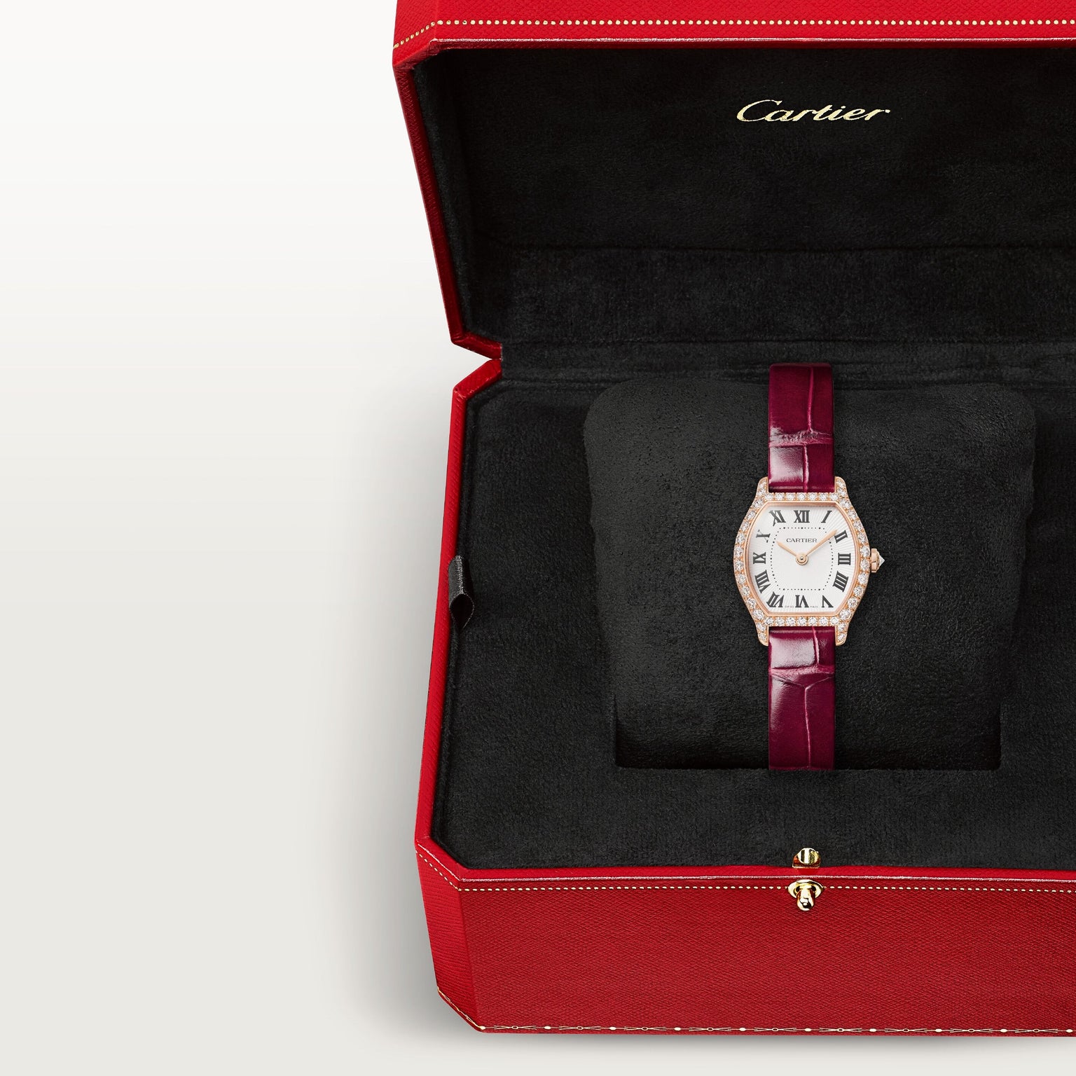 Cartier Tortue Mini Model WJTO0011 view 3