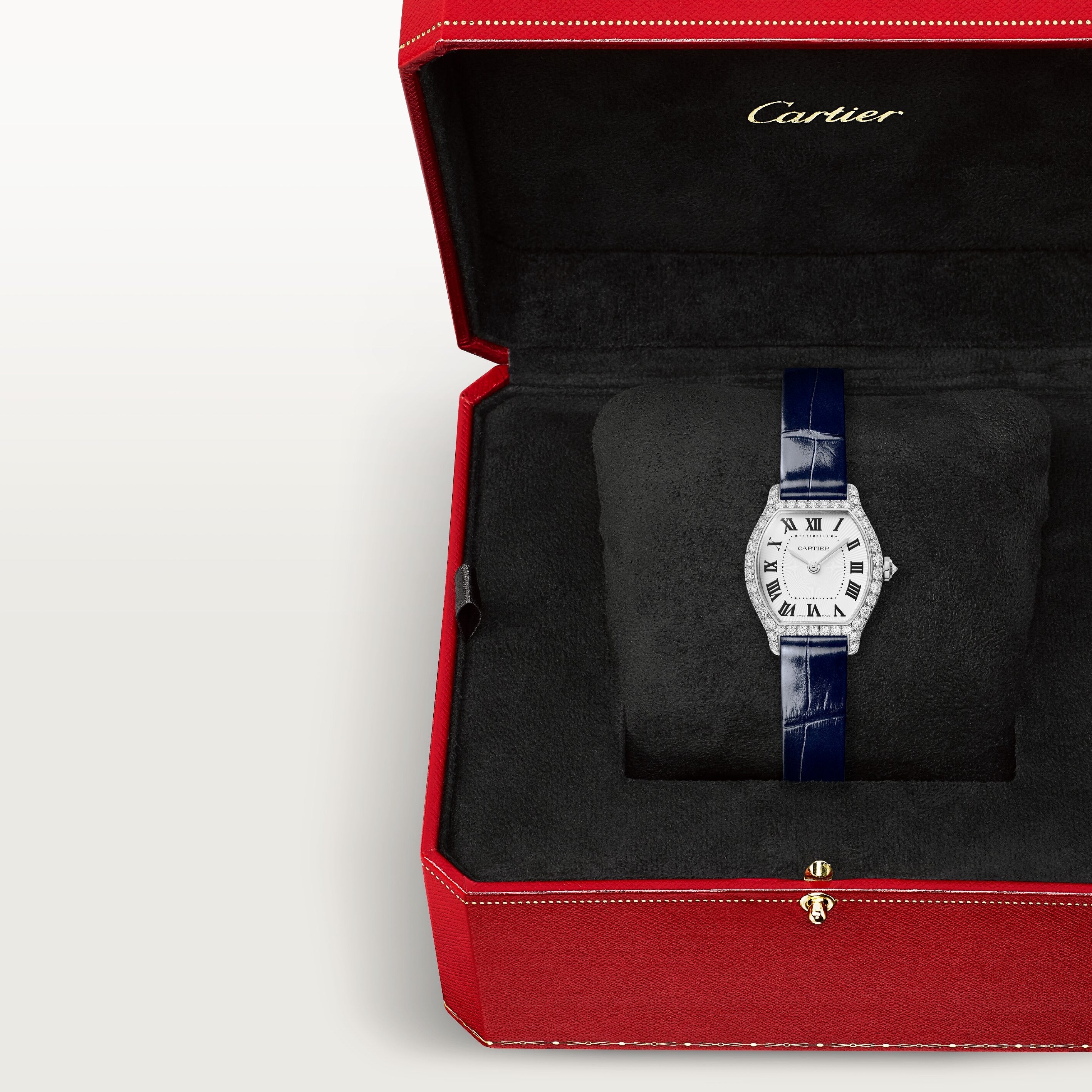 Cartier Tortue Mini Model WJTO0013 view 6