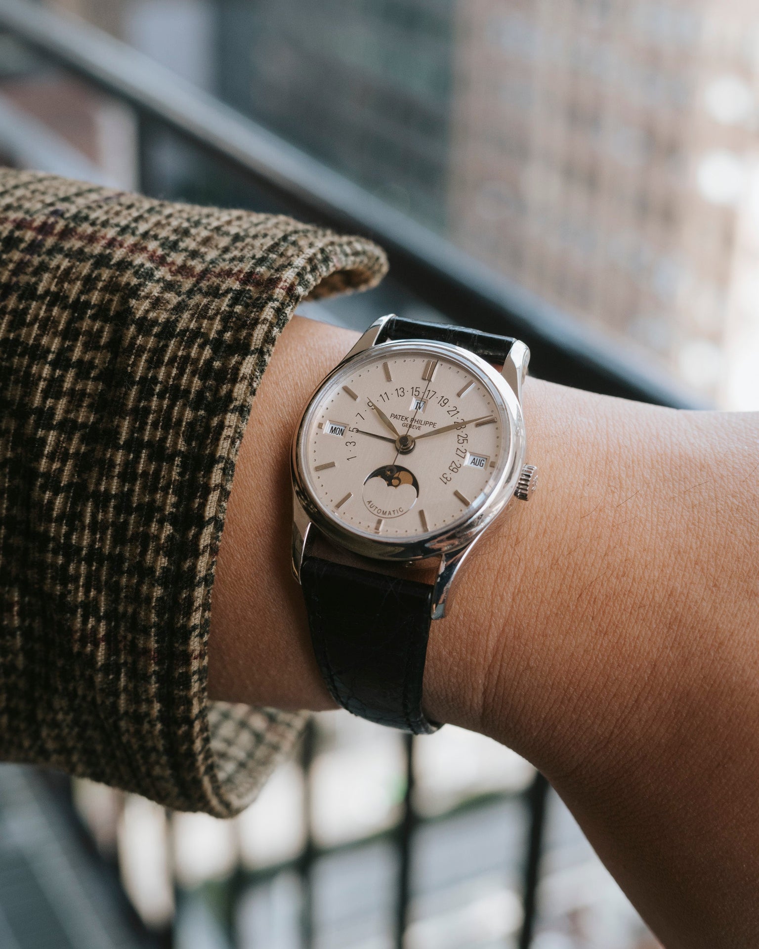 A person stands by a railing, wearing the Patek Philippe Retrograde Perpetual Calendar—a silver wristwatch with a white dial and black leather strap.