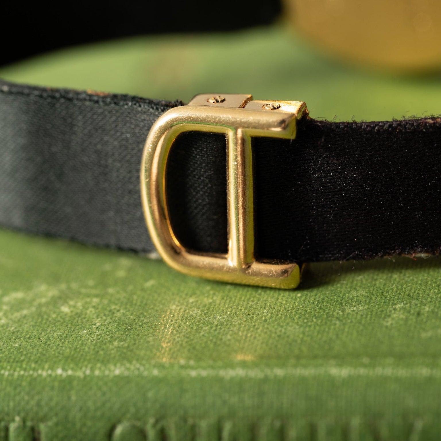 A close-up of the Cartier Ellipse black belt with a gold D buckle resting on a textured green surface.