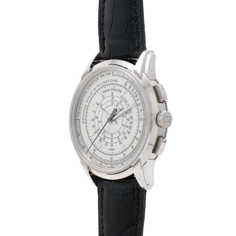 The Patek Philippe Multi-Scale Chronograph features a silver dial, black leather strap, multiple concentric scales, side crown, and pushers.