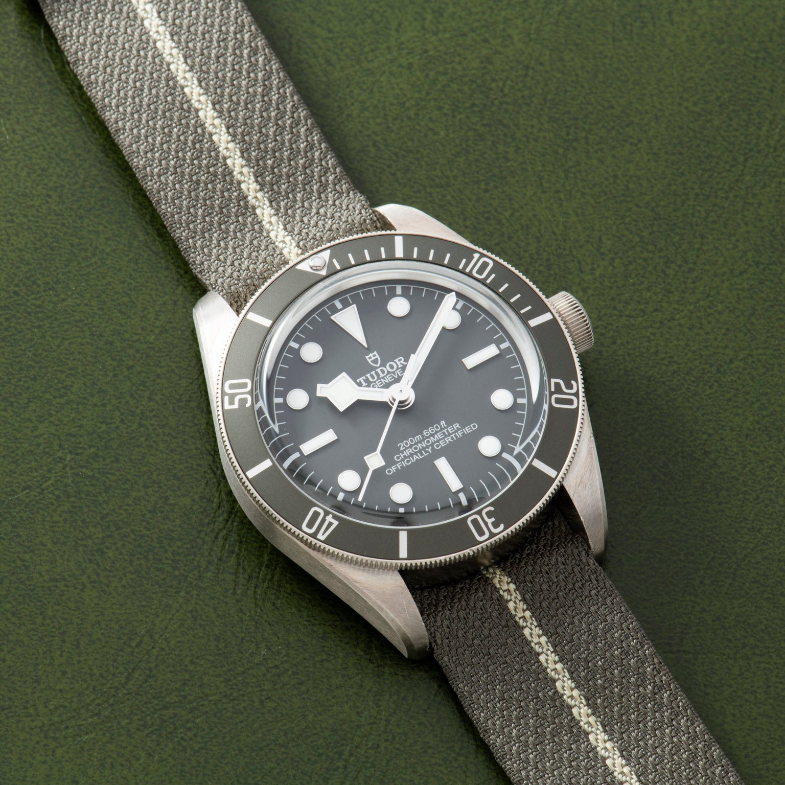 A TUDOR Black Bay 58 Silver dive watch with a black dial and fabric strap is displayed on a textured green surface.