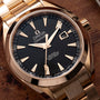 Omega Seamaster Aqua Terra