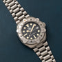 TAG Heuer Professional Diver