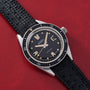 Ernest Borel Diver