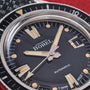 Ernest Borel Diver