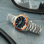 Omega Seamaster Planet Ocean