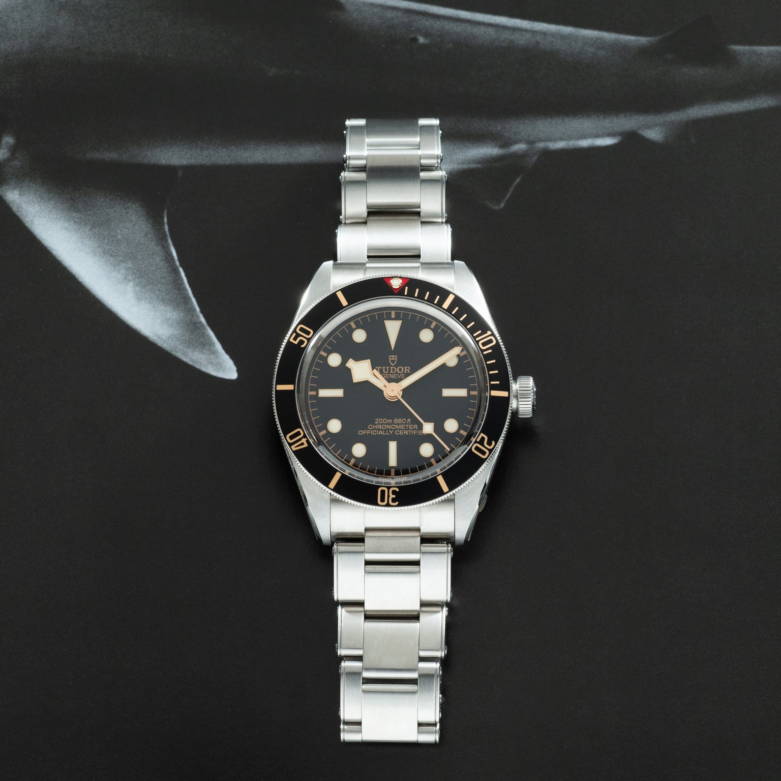 Tudor Black Bay 58