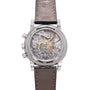 Patek Philippe Perpetual Calendar Chronograph