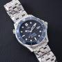 Omega Seamaster 300 Professional 'Goldeneye'