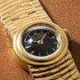 Patek Philippe Water Drop
