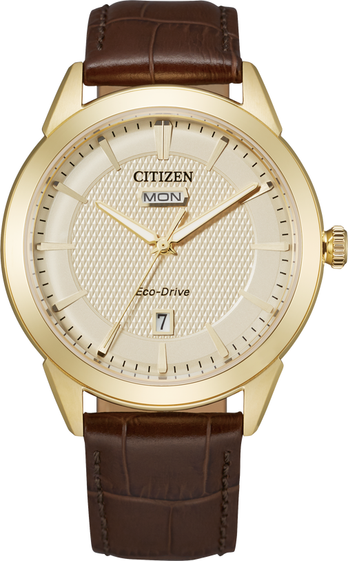 Citizen Rolan Steel 40 mm Eco Drive