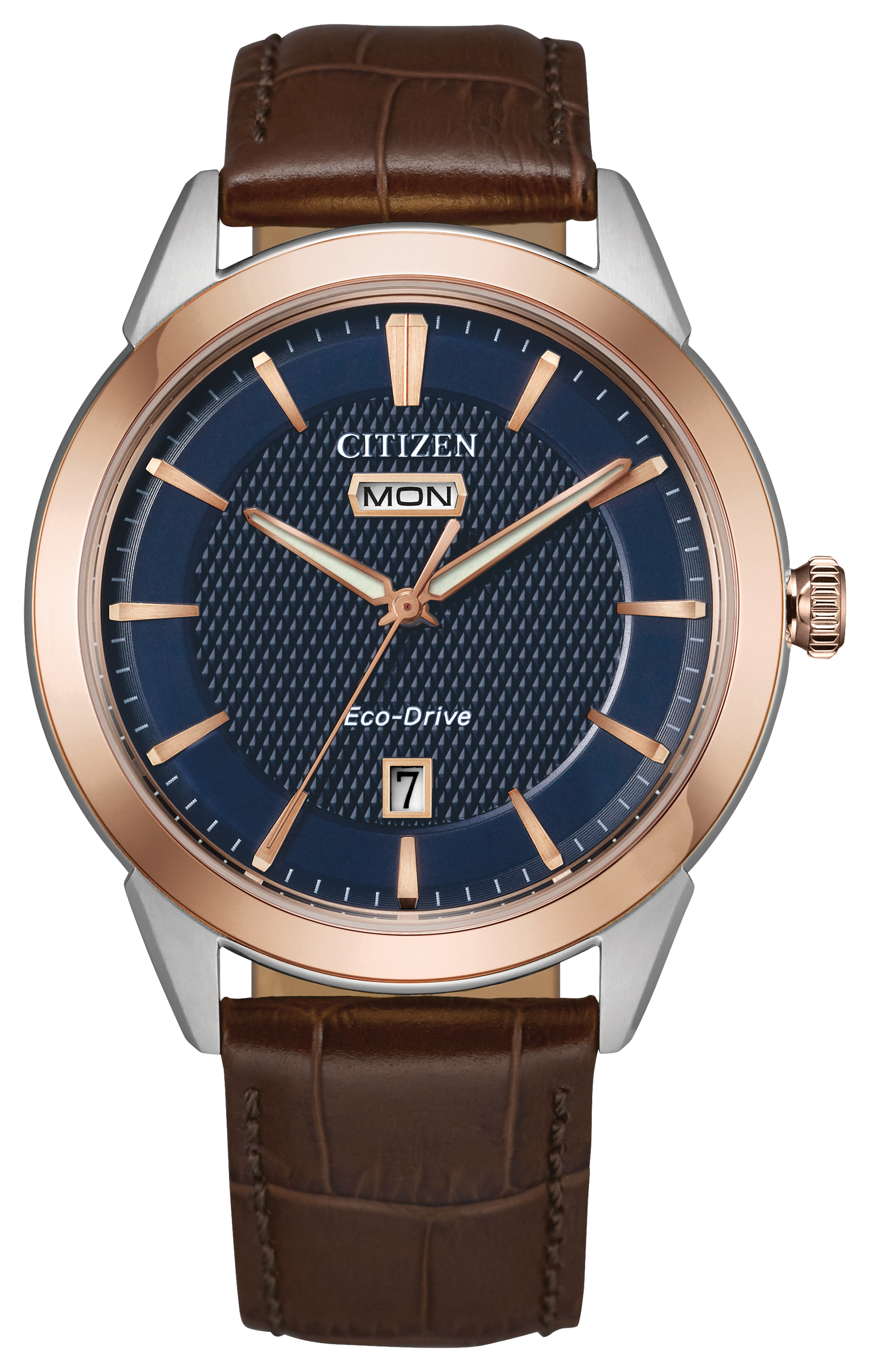 Citizen Rolan Steel 40 mm Eco Drive