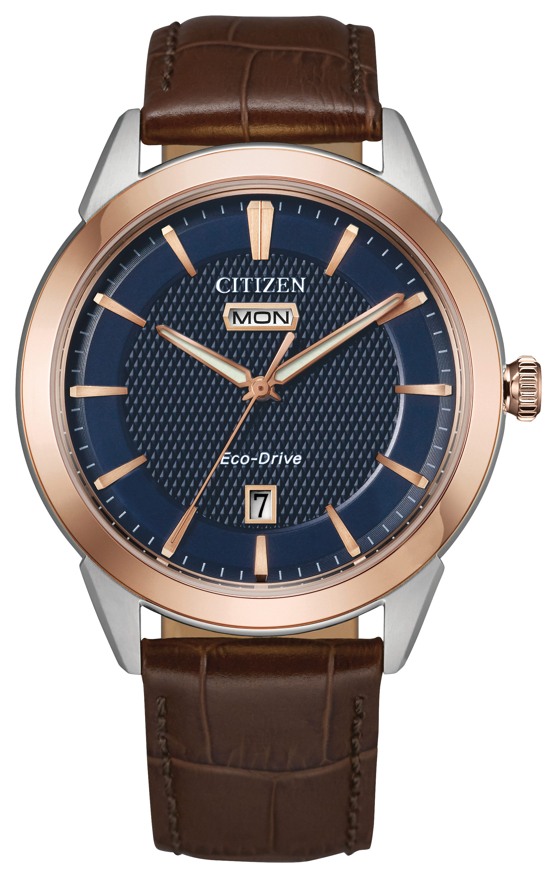 Citizen Rolan Steel 40 mm Eco Drive