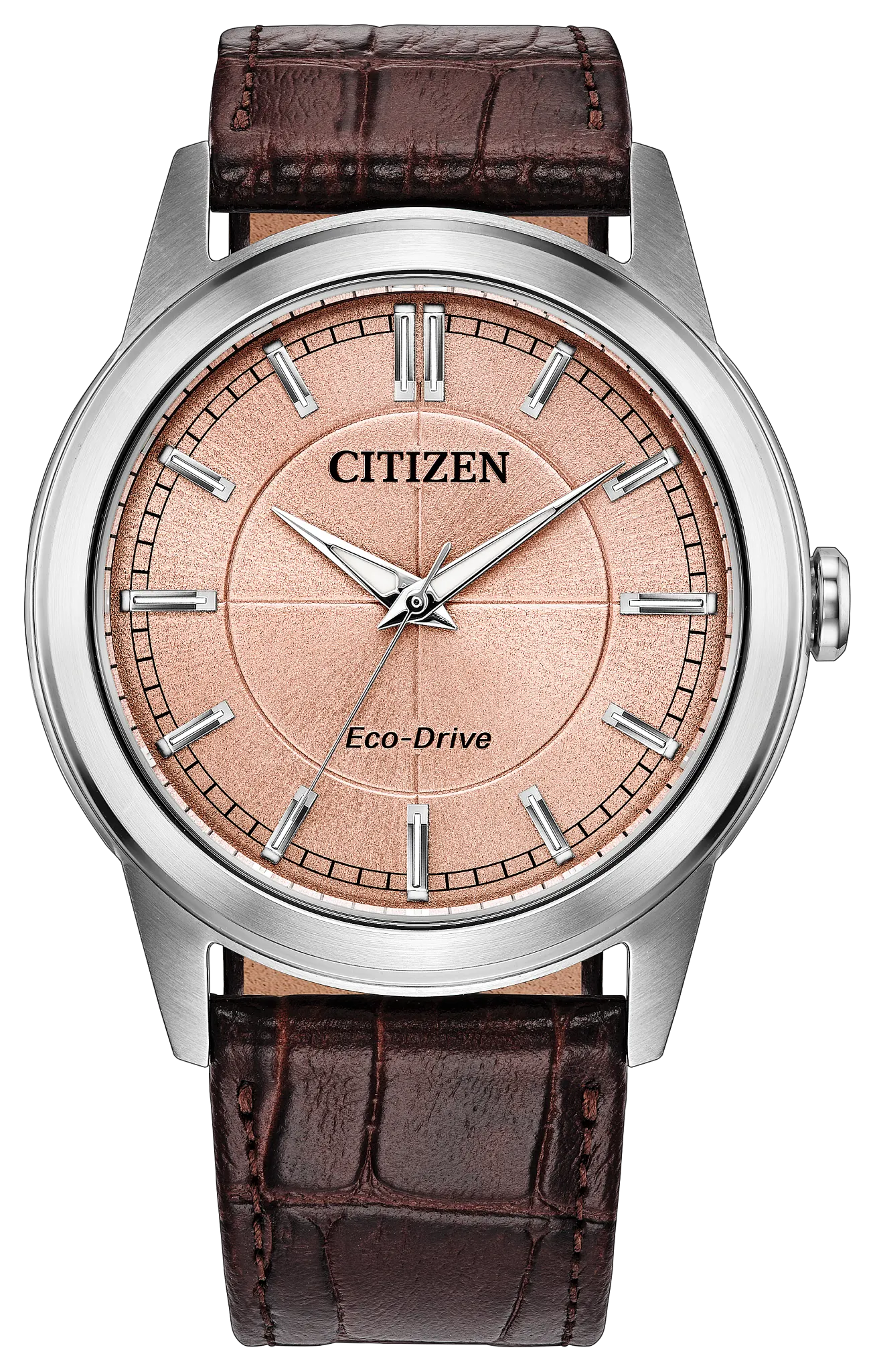 Rolan Salmon | 41mm, Leather