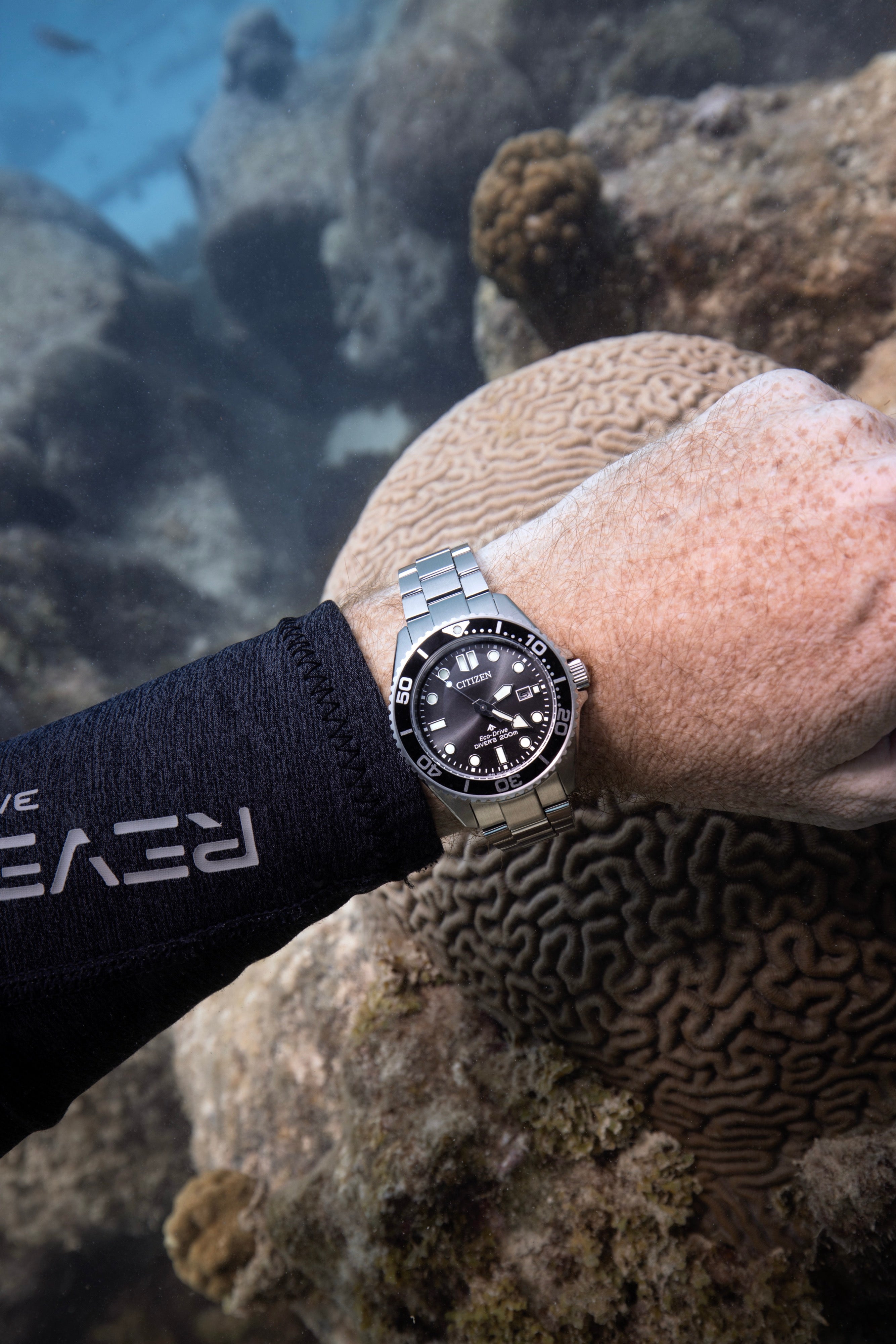Citizen Dive 3 41mm Steel Black Dial