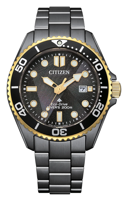 Citizen Promaster dive watch with gray stainless steel bracelet, black dial, gold-tone bezel and hands, 40mm case.