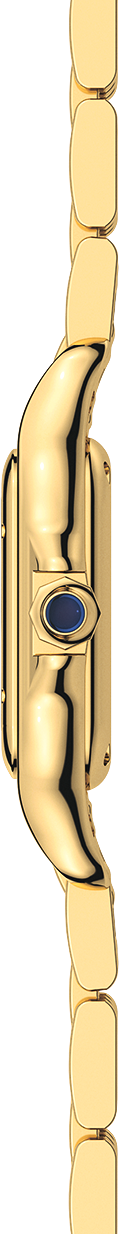 Cartier Panthère de Cartier Small Model WGPN0059 view 4