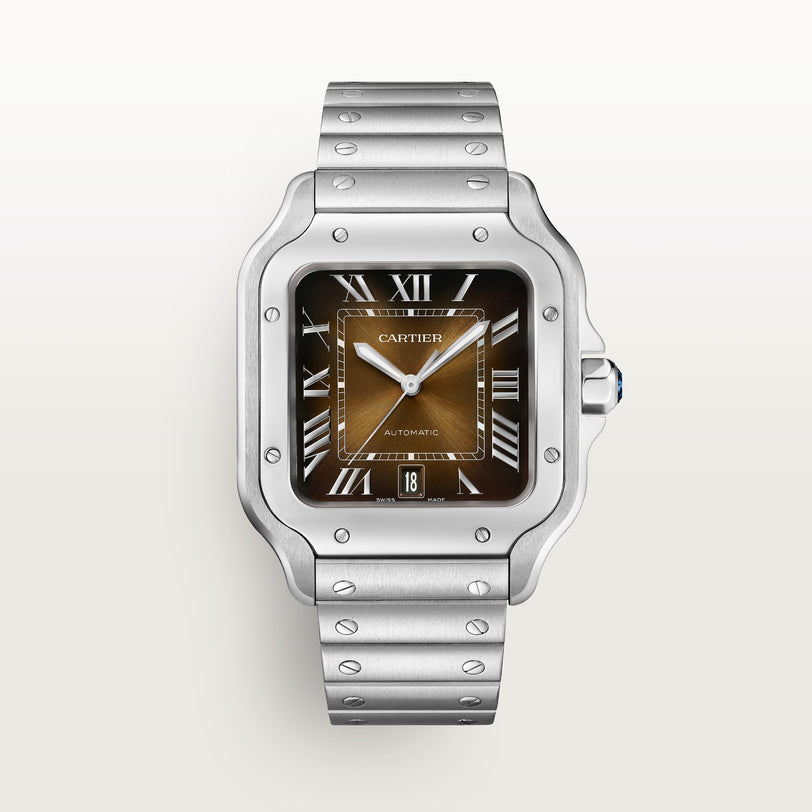 Cartier Santos de Cartier WSSA0064