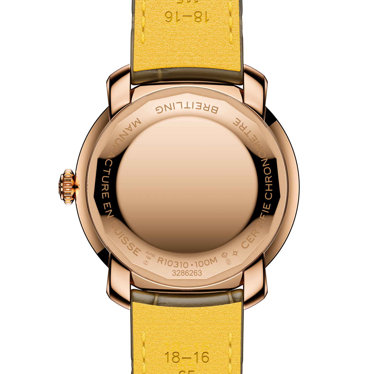 Back face of brown Breitling Lady Premier 36