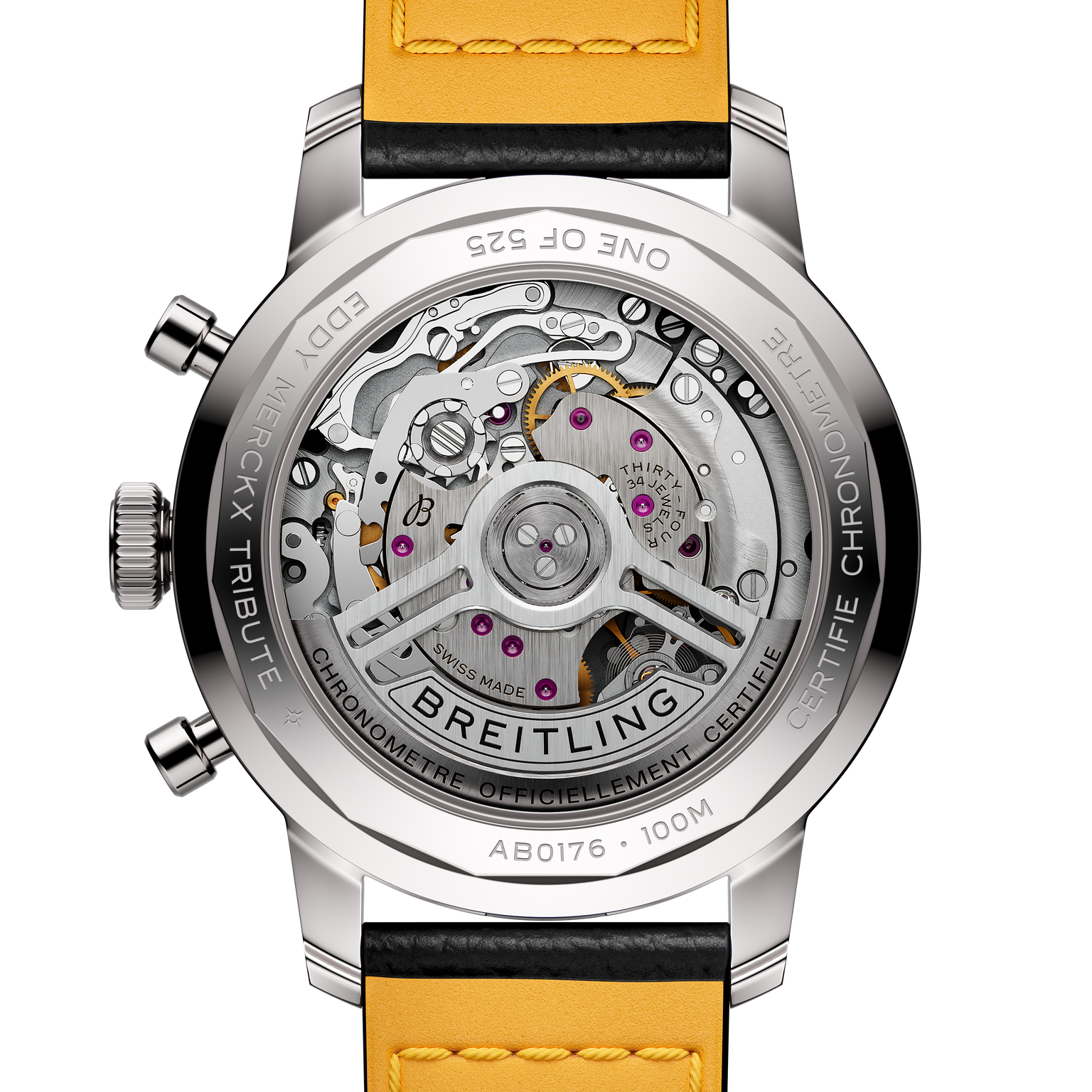 Top Time B01 Eddy Merckx | 41mm, Leather Strap, Men's Watch