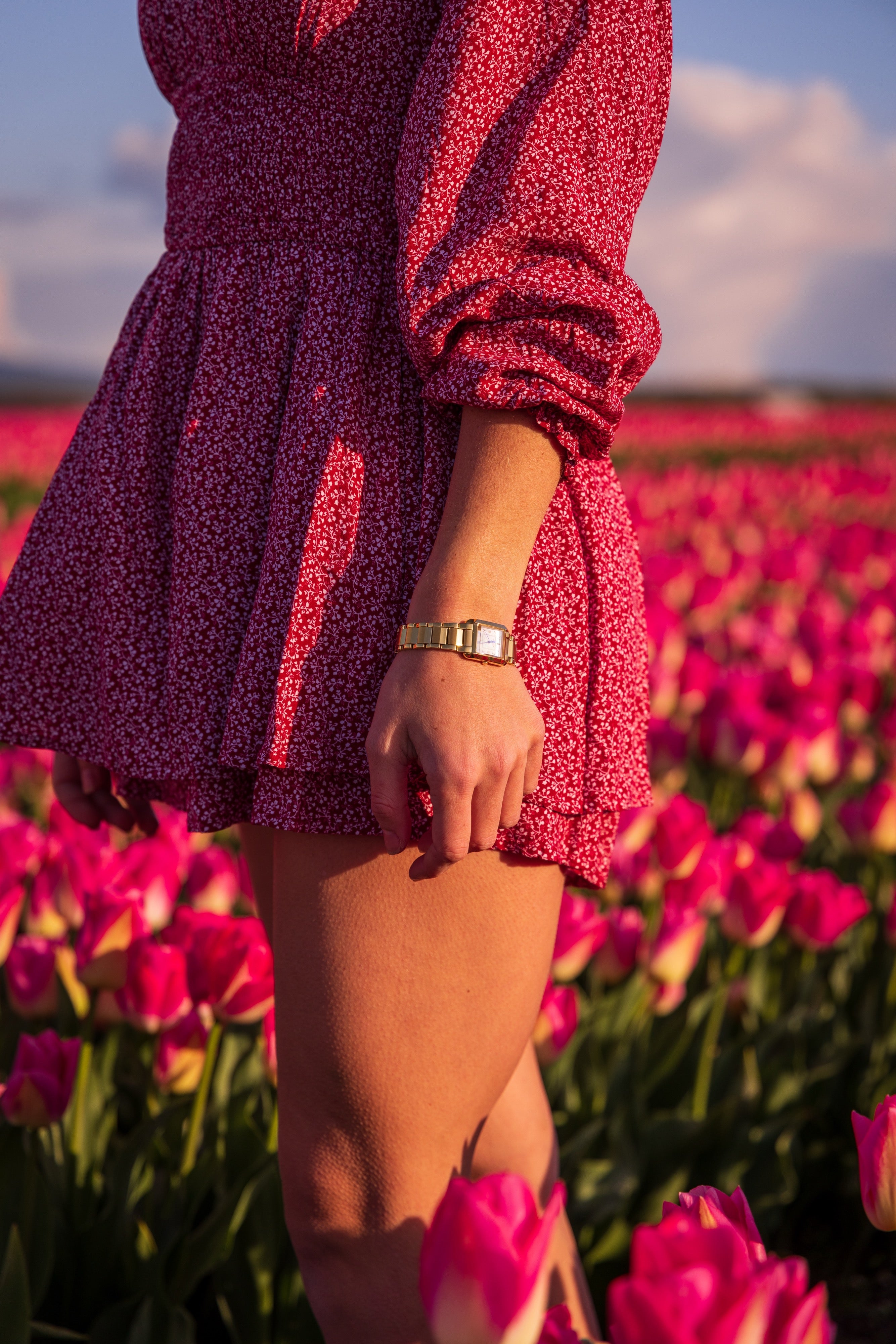 Citizen Bianca Steel 19 mm Eco Drive