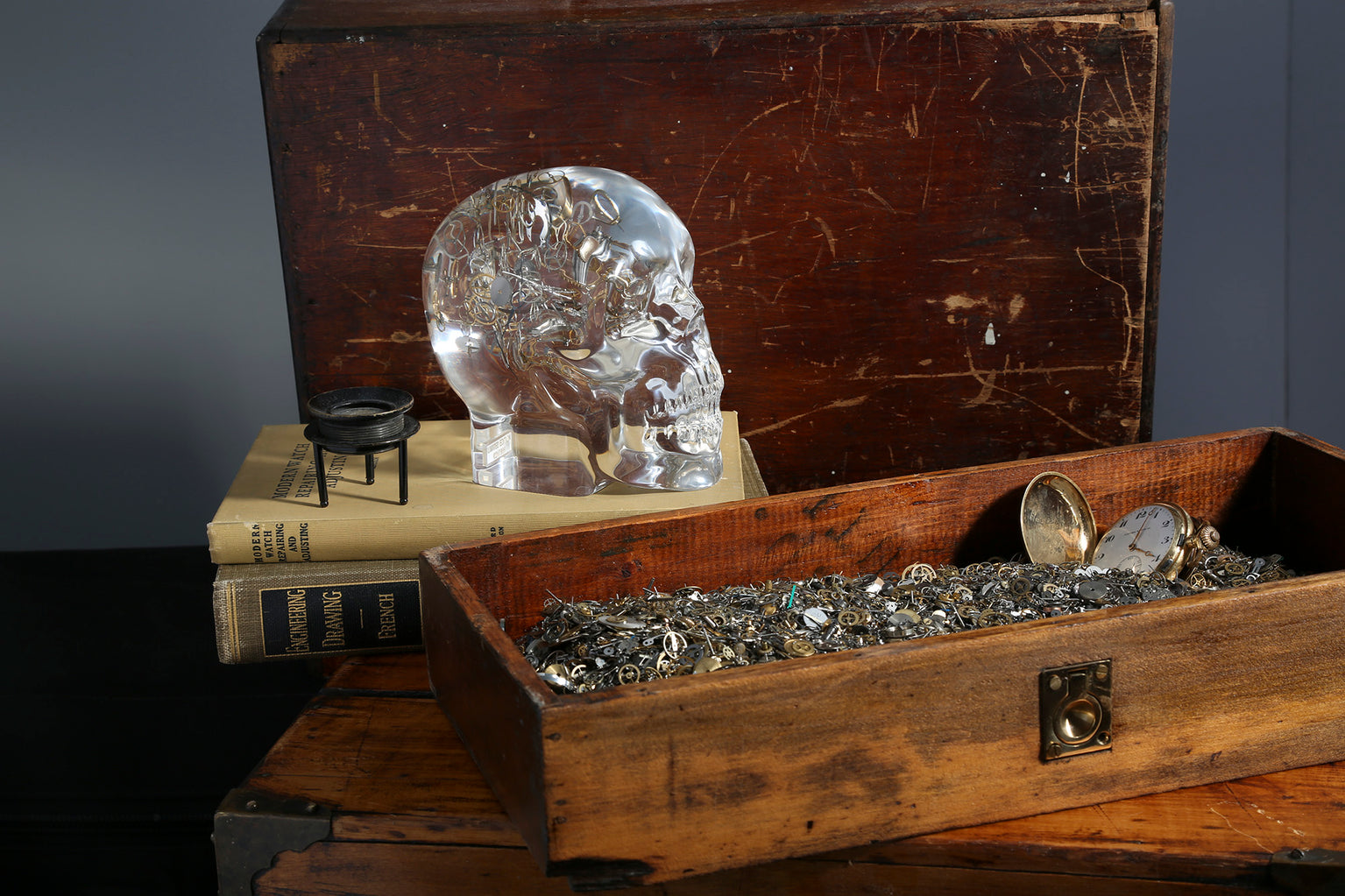 Berd Vay'e Lost In Time Large Skull