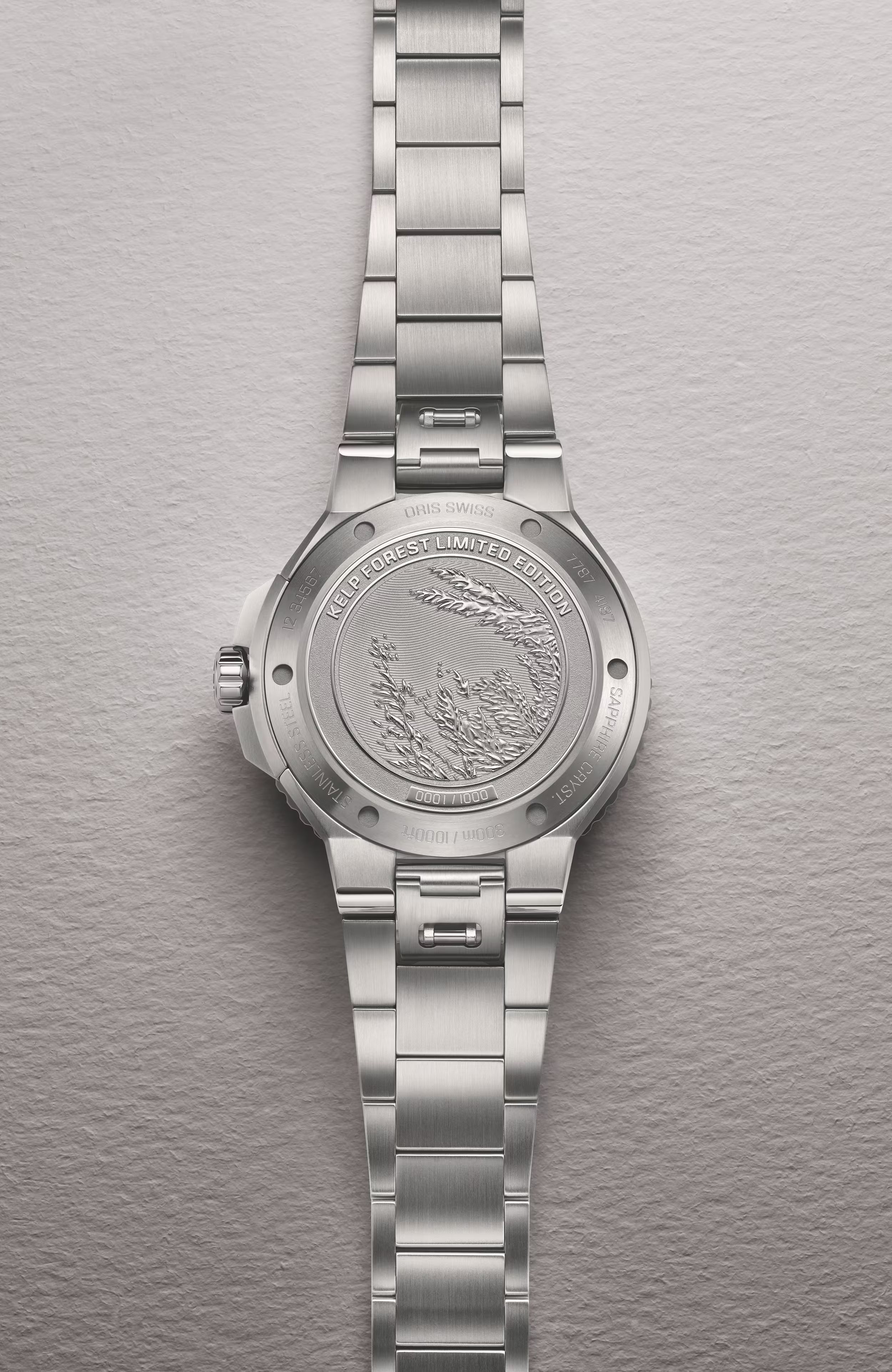 Aquis Kelp Forest Limited Edition | 41.5mm, Stainless Steel