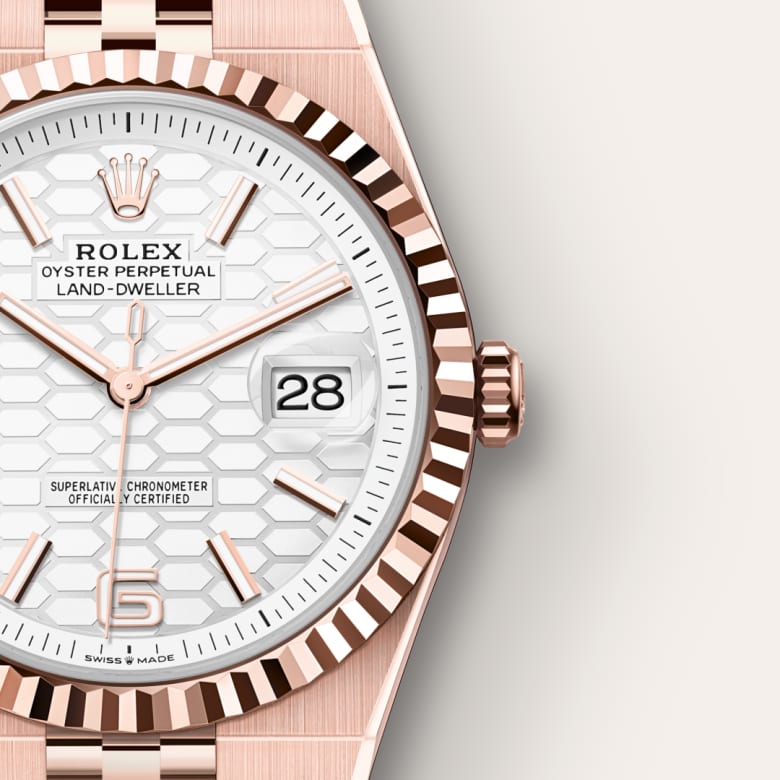 Close-up of a Rolex Oyster Perpetual Land-Dweller watch with a white hexagonal-pattern dial and rose gold accents.