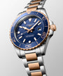 HydroConquest | 42mm, Stainless Steel and Red PVD, Blue Dial