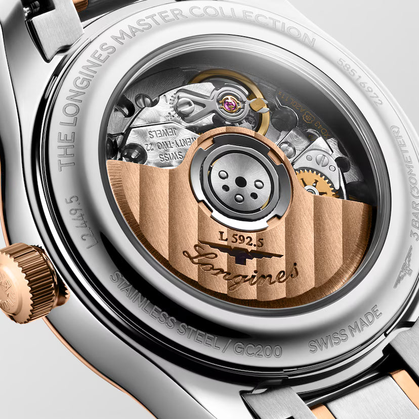 Master | 30mm, Stainless Steel and Rose Gold 18K
