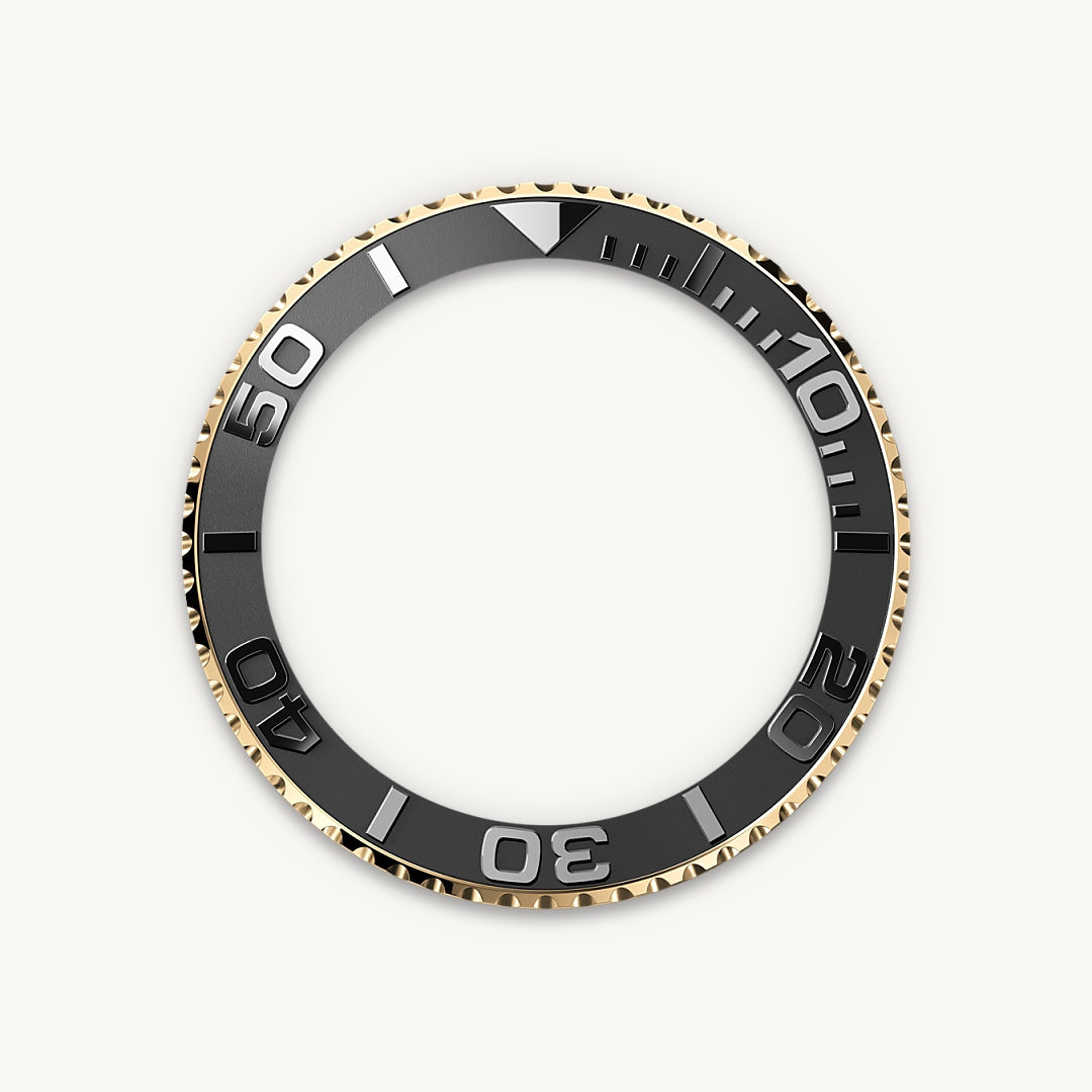 Bidirectional Rotatable Bezel