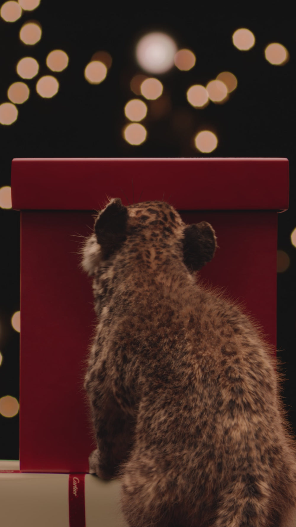 Panthère de Cartier