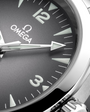 OMEGA Seamaster Railmaster Grey Dial Steel Bracelet