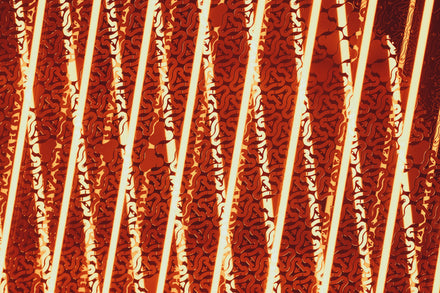 Abstract pattern of wavy orange and yellow lines with intricate, dark, maze-like shapes in between.