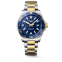 HydroConquest | 42mm, Stainless Steel & yellow PVD, Blue Dial