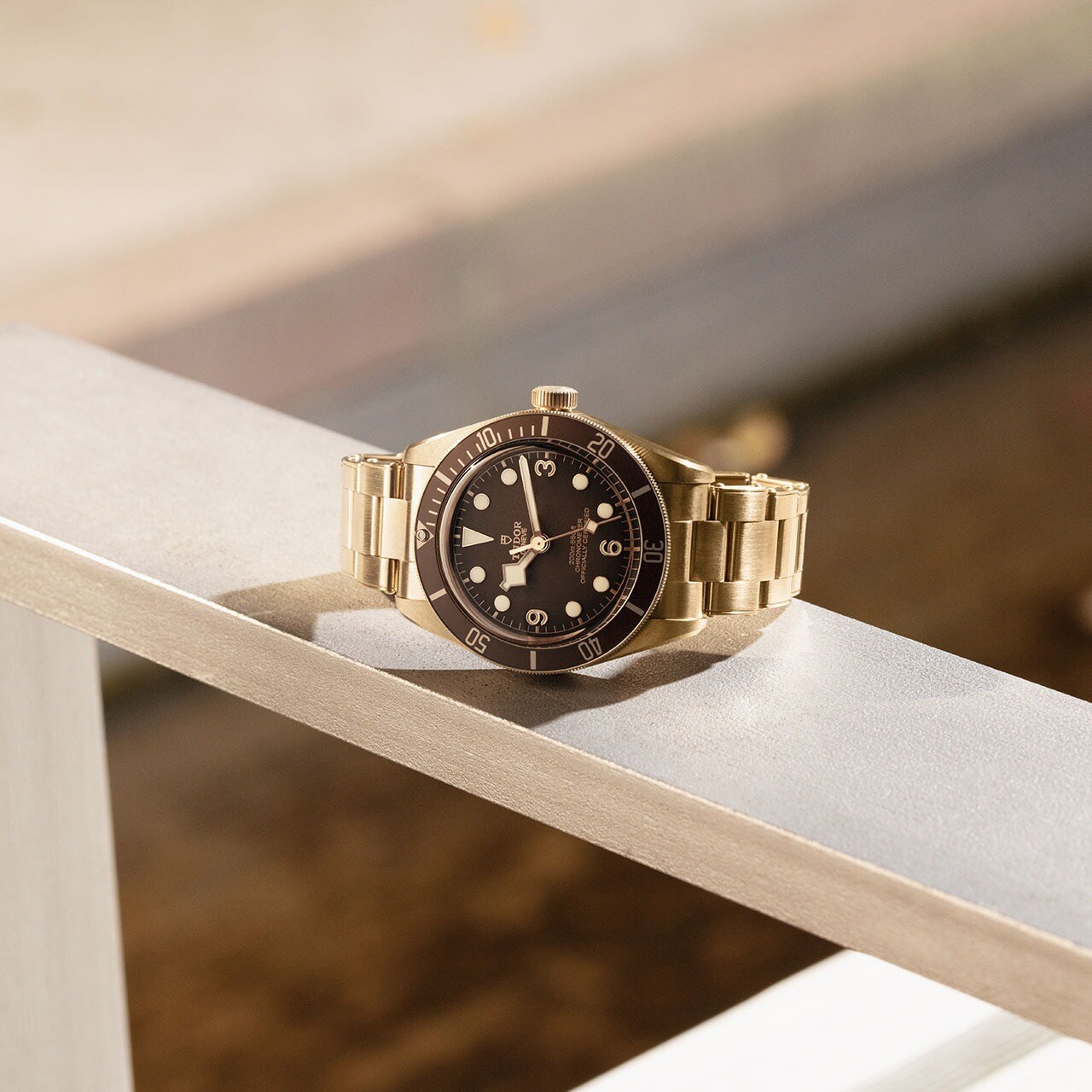 TUDOR-2020-S28-LS-960.jpg