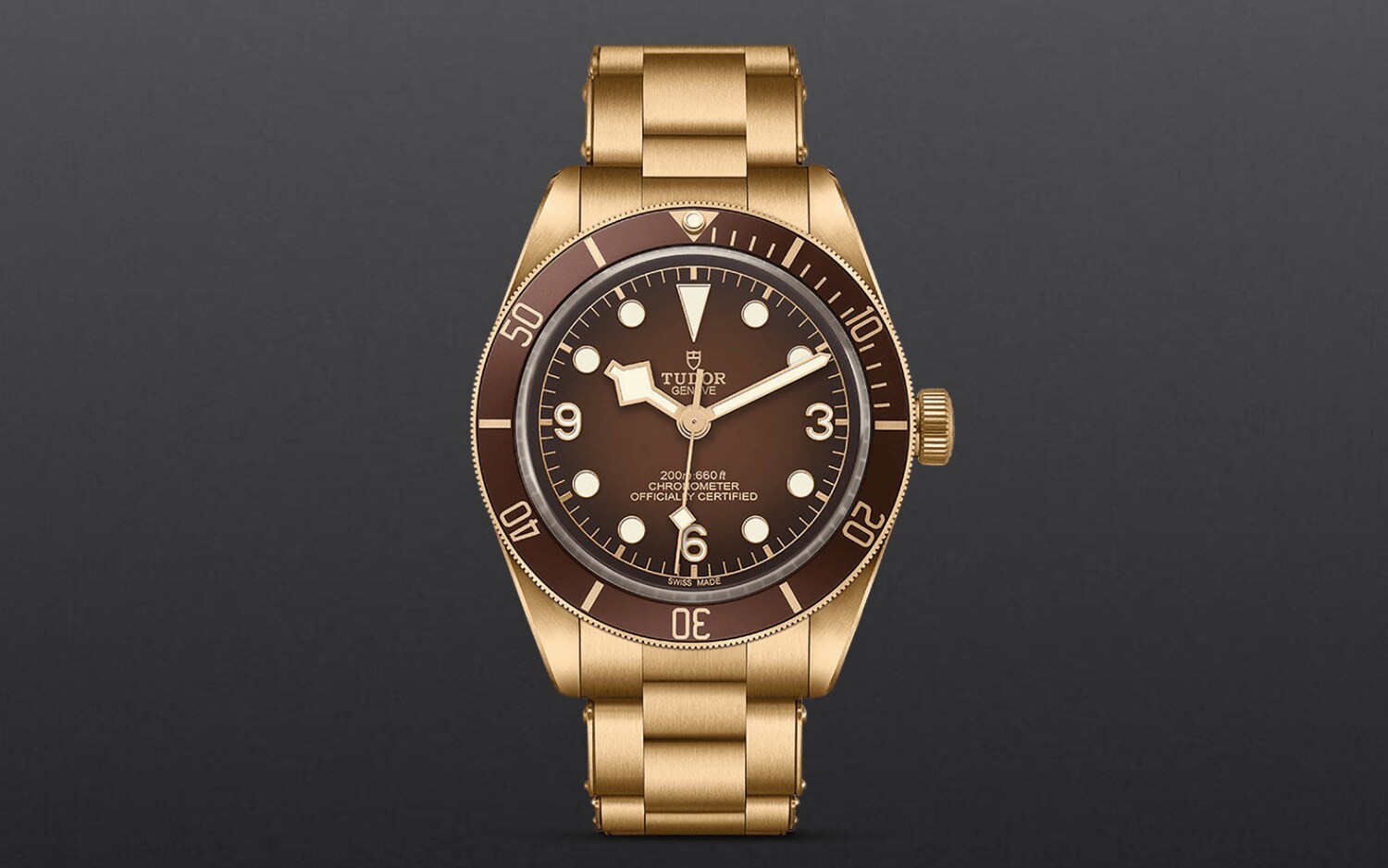 TUDOR-BOUTIQUE-58-BRONZE-UPRIGHT.png