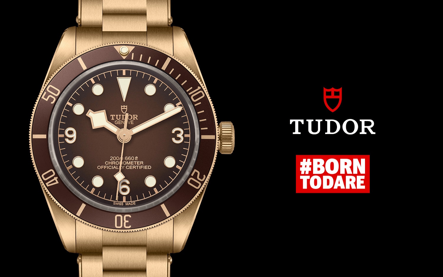 TUDOR-BOUTIQUE-58-BRONZE.png