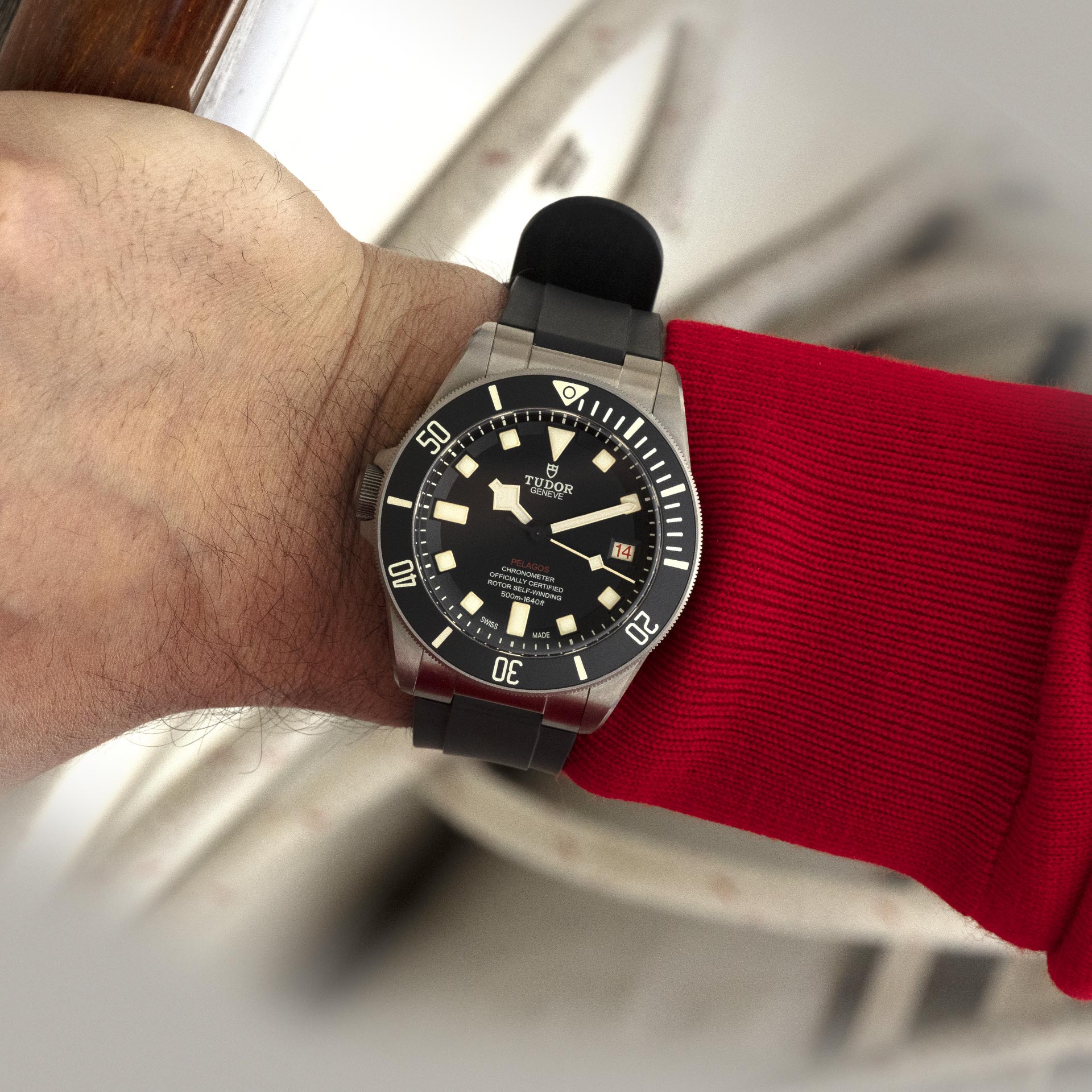 Tudor-Pelagos.jpg