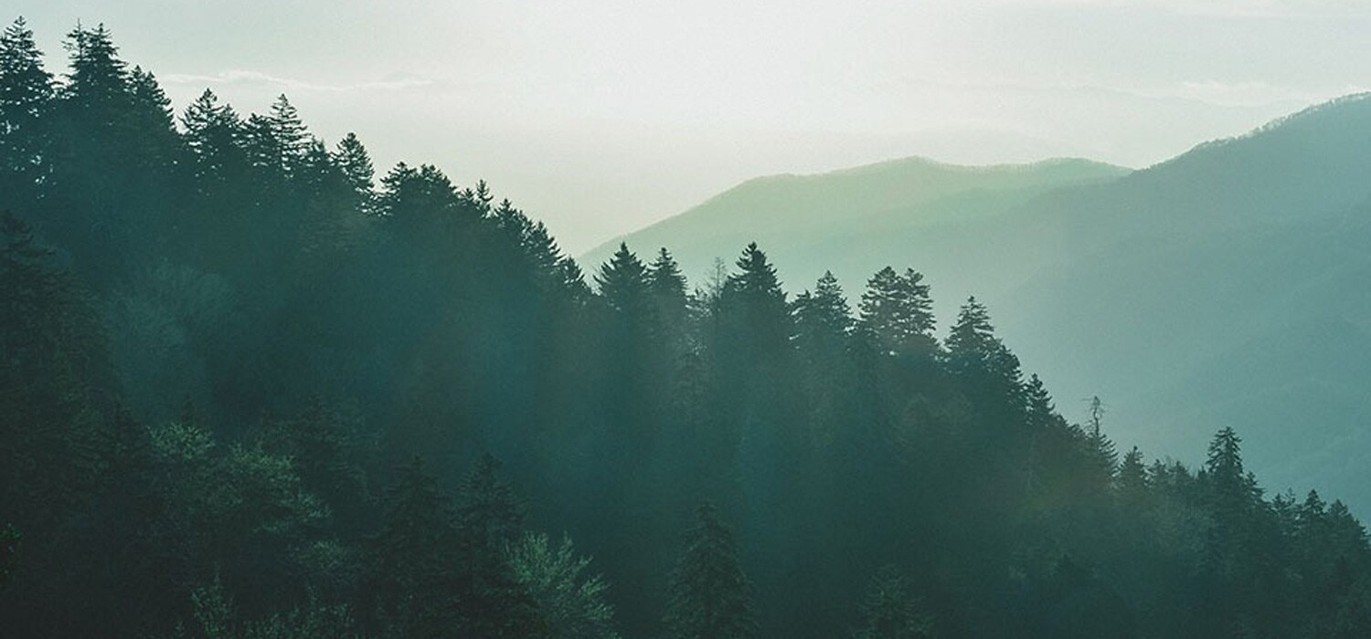 Sustainability in the Watch Industry