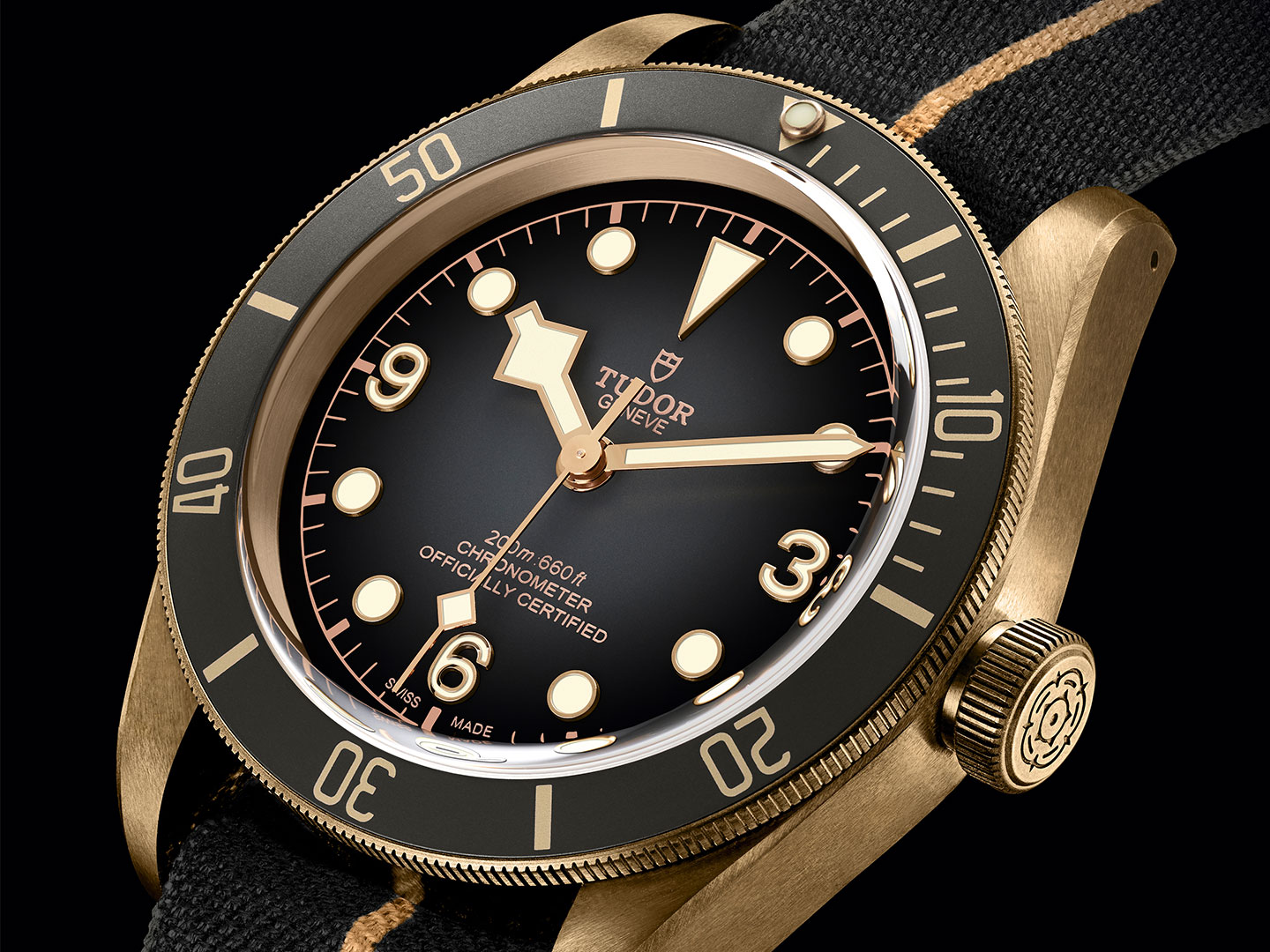 tudor-black-bay-blackgold.jpg